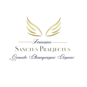 Logo Design by Elisa Clare