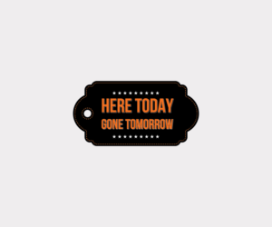 Logo Design by MOMO Media