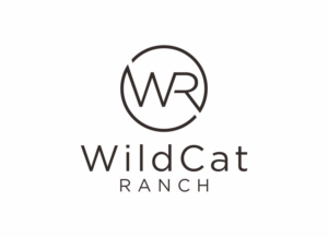 Diseño de Logo por Ambo Dalle para Cotton & Company | Diseño: #20163769