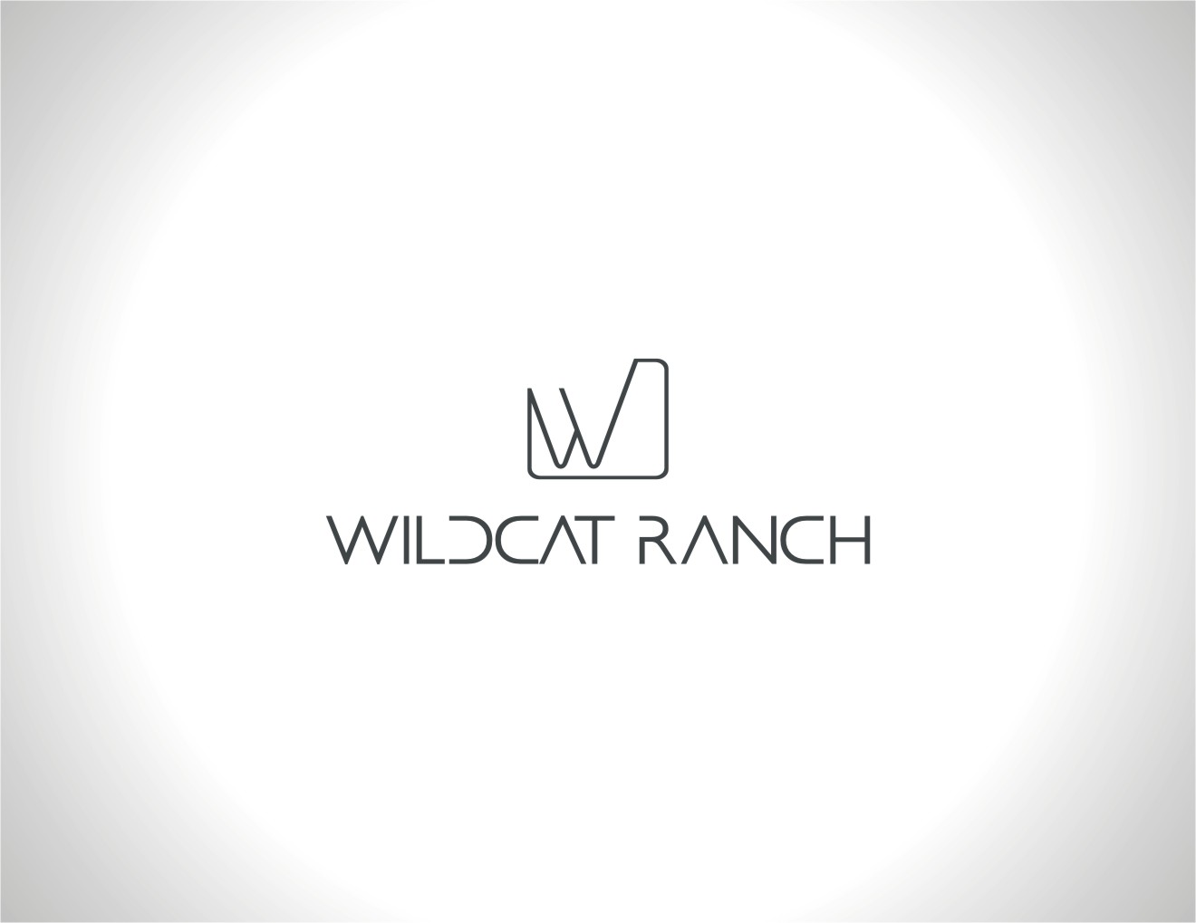 Logo Design by LIZZY LO for Cotton & Company | Design #20161495