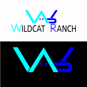 Diseño de Logo por leolestersalinas 2 para Cotton & Company | Diseño: #20161766