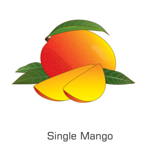 Graphic Design by - SWING -