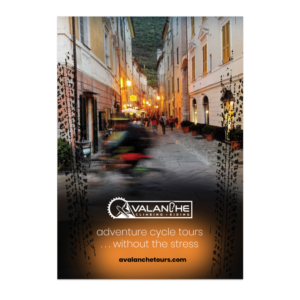 Avalanchetours.com is a mountain biking and climbing  travel  company. We need a advertisement fo... | Diseño Publicitario por see why