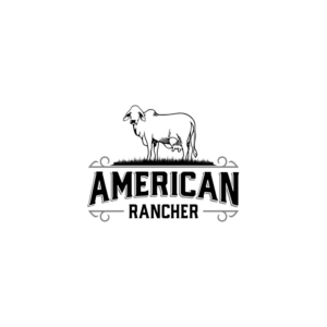 Logo Design by ddnsycrowd