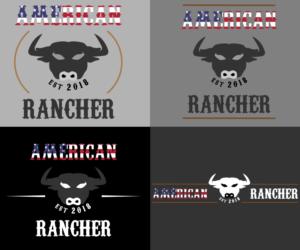 Logo Design by Nosvorious13 Design for this project | Design: #20231602