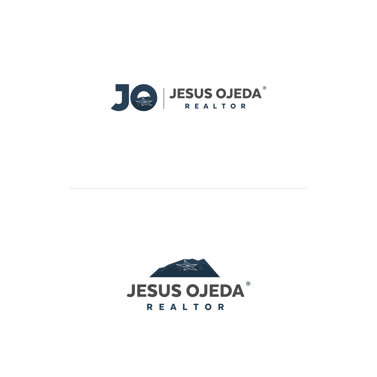 Logo Design by Felipe Moura for this project | Design #20243675