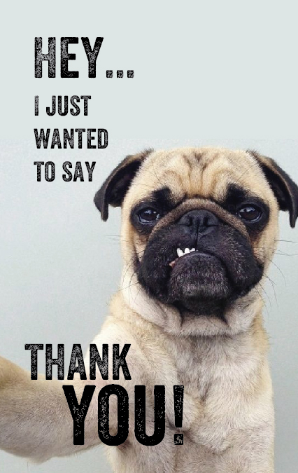 Infographic Design by Sarina.dsg for Incognicards UG (haftungsbeschränkt) | Design #20239041