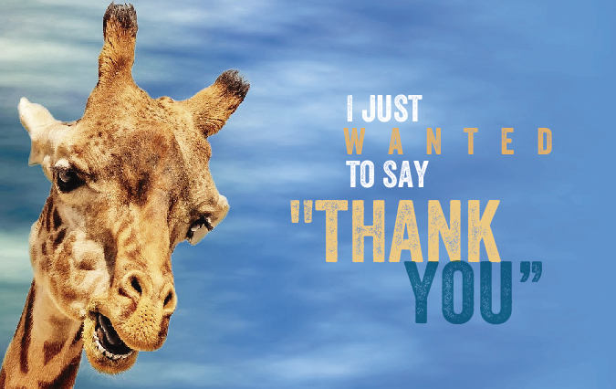 Infografik-Design von Sarina.dsg für Incognicards UG (haftungsbeschränkt) | Design #20239158