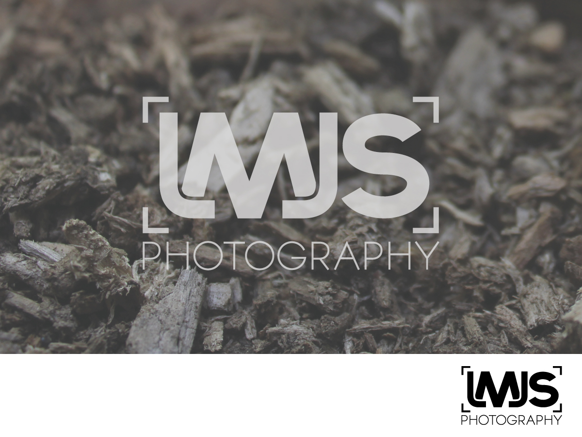 Logo Design by lolti for this project | Design #3001599