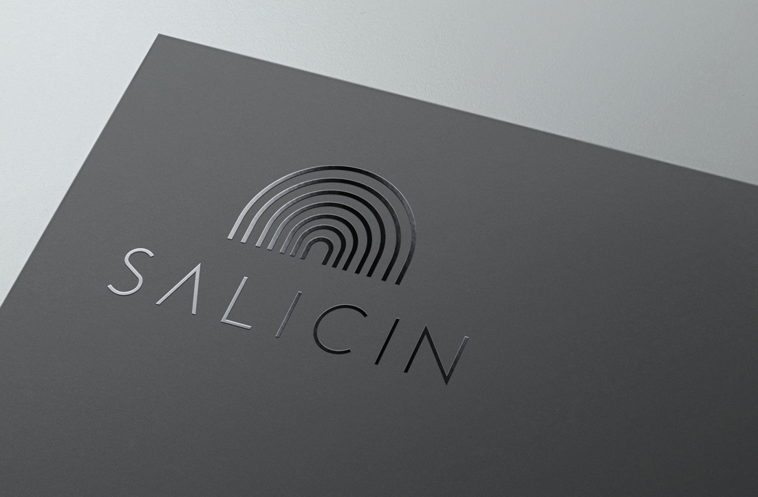 Logo Design by GLDesigns for this project | Design #20180274