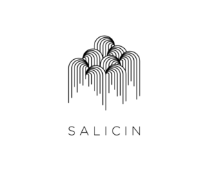 Logo Design by Kych19