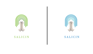 Logo Design by Pallab181
