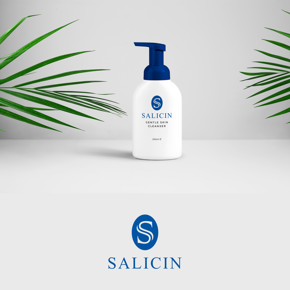 Design de Logo par AZart pour ce projet | Design #20180414