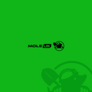 Logo Design by Felipe Moura