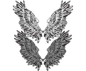 Logo Design by Baraka Joe