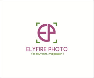 Design de Logo par DEDIU 2 pour ce projet | Design : #20193223