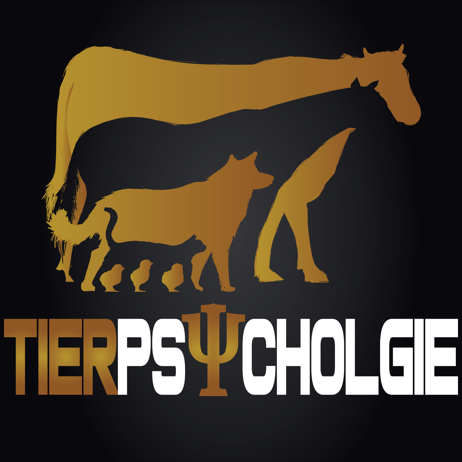 Logo Design by NOUH for this project | Design #20195132