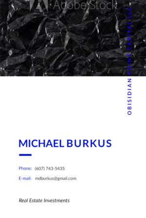 Business Card Design by Lesia_Povshuk for Obsidian Point Capital LLC | Design: #20212854