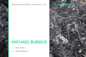 Business Card Design by Lesia_Povshuk for Obsidian Point Capital LLC | Design: #20212855