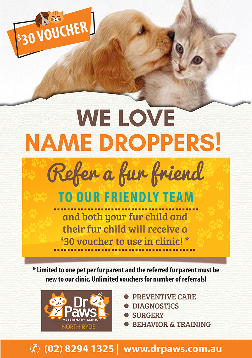 Poster Design by Venus L. Penaflor for Dr Paws North Ryde | Design #20206122