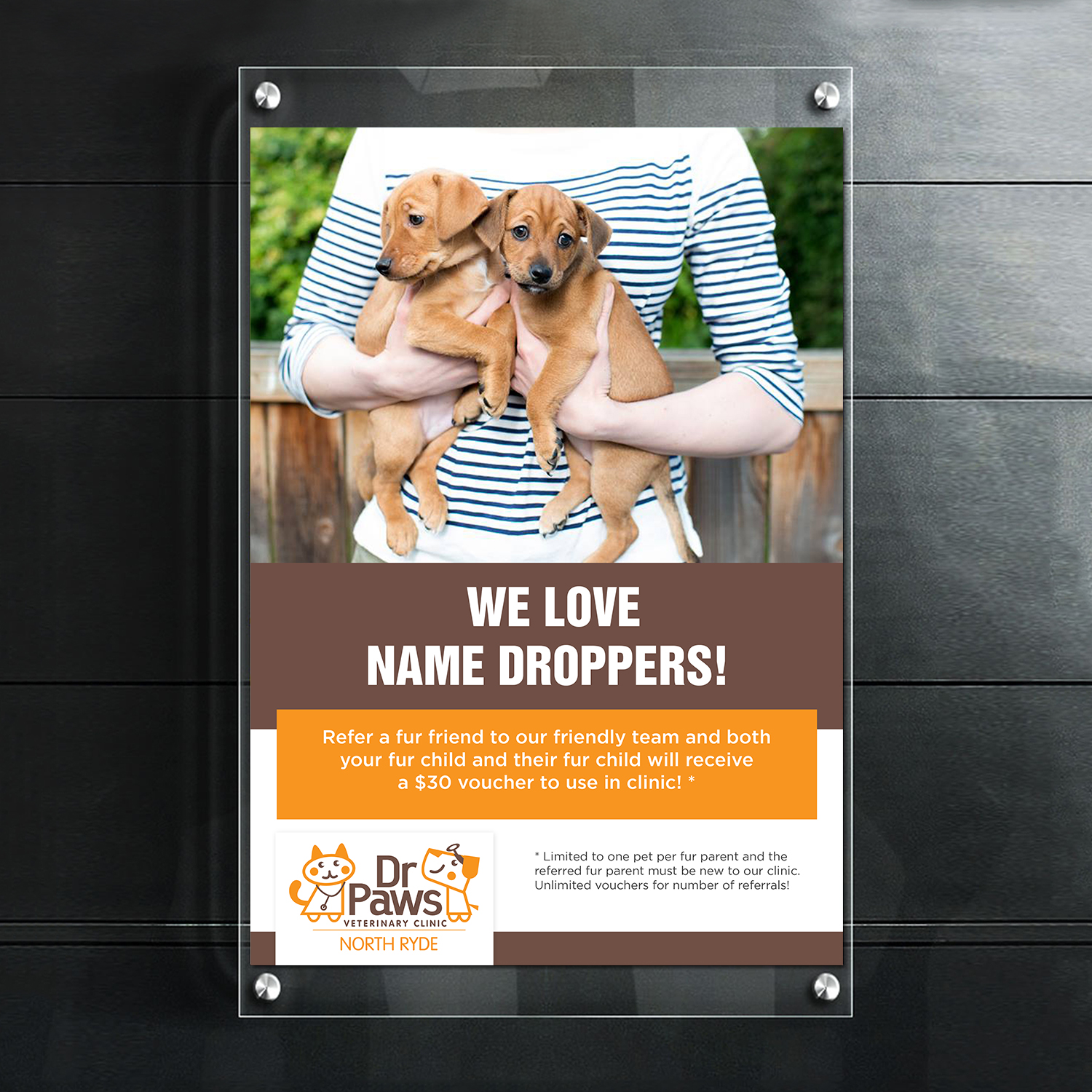 Design de Poster par debdesign pour Dr Paws North Ryde | Design #20201924