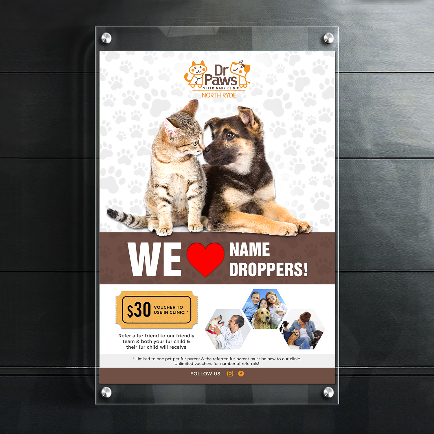 Poster Design by debdesign for Dr Paws North Ryde | Design #20225171