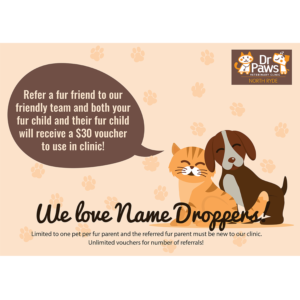Poster Design by Egshig Amy for Dr Paws North Ryde | Design #20217585