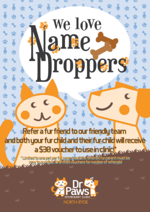 Poster Design by kambalskitters for Dr Paws North Ryde | Design #20214014