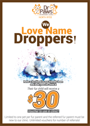 Poster Design by fastdesign360 for Dr Paws North Ryde | Design: #20202030