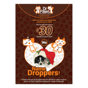 Poster Design by fastdesign360 for Dr Paws North Ryde | Design #20225167