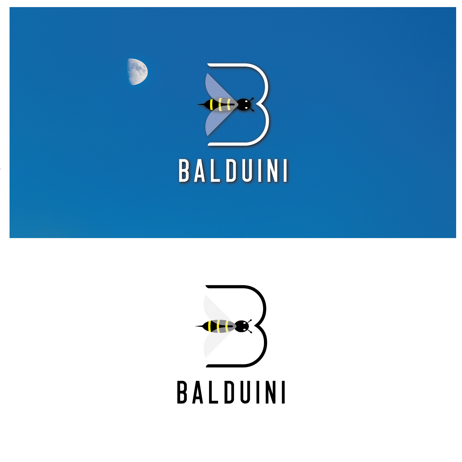 Logo Design by anang3 for this project | Design #20227664