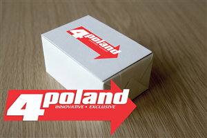 Logo Design by purpleWIZ Design