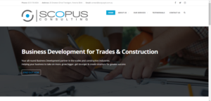 Banner Ad Design by Kristina Andonoff for Scopus Consulting | Design: #20198728