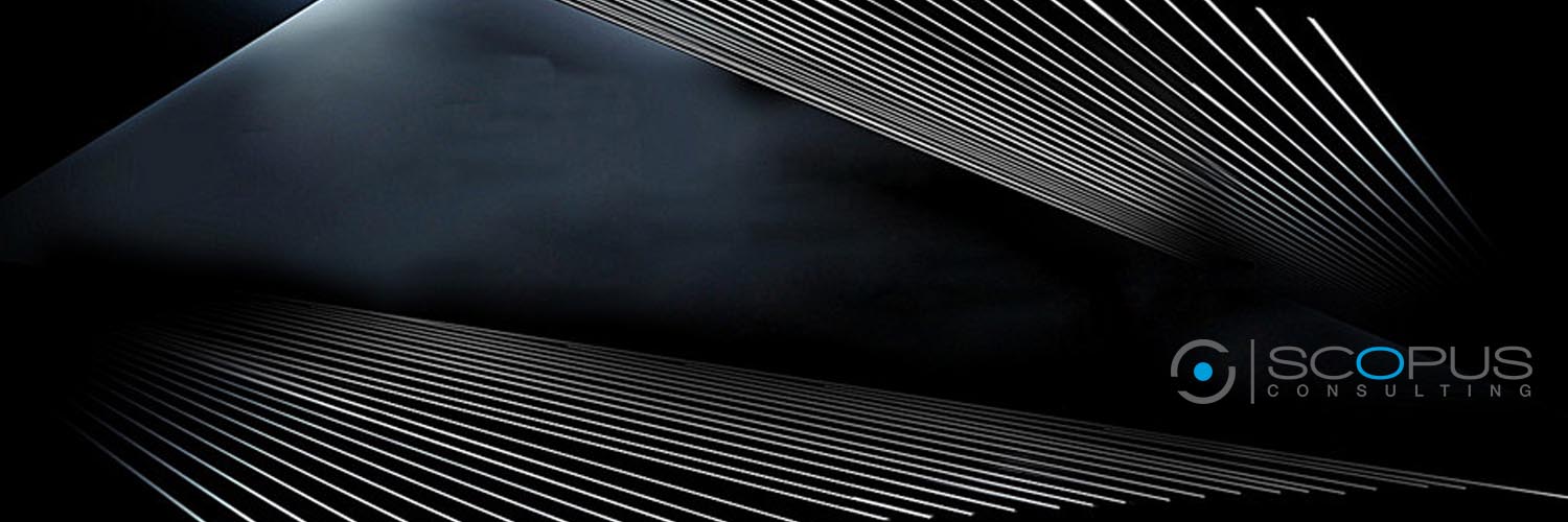 Banner Ad Design by creative gravity for Scopus Consulting | Design #20283795
