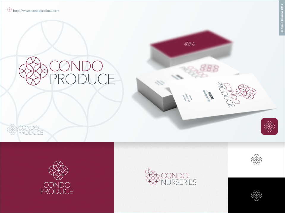 Logo Design by Raoul Camion for this project | Design #20219473