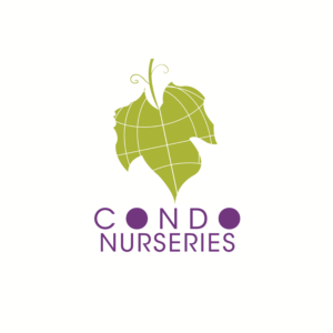 Logo Design by LachlanP93 for this project | Design: #20222773