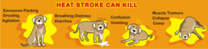Graphic Design by Falguni for Heights Pet Hospital | Design: #20322006