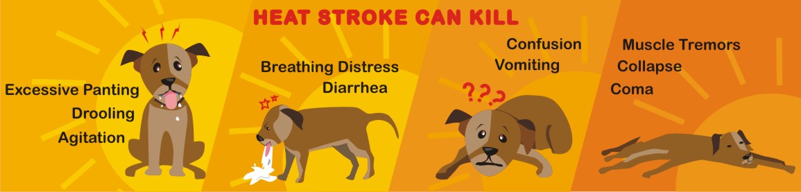 Graphic Design by Falguni for Heights Pet Hospital | Design #20330731