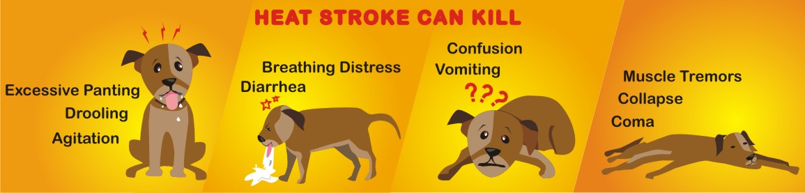 Graphic Design by Falguni for Heights Pet Hospital | Design #20330861