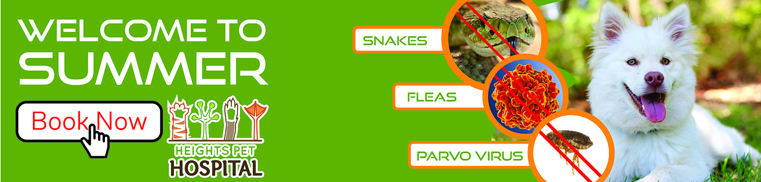 Graphic Design by BEEZU for Heights Pet Hospital | Design #20203059