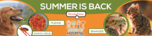 Graphic Design by BEEZU for Heights Pet Hospital | Design: #20203060