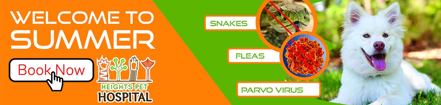 Graphic Design by BEEZU for Heights Pet Hospital | Design #20203061