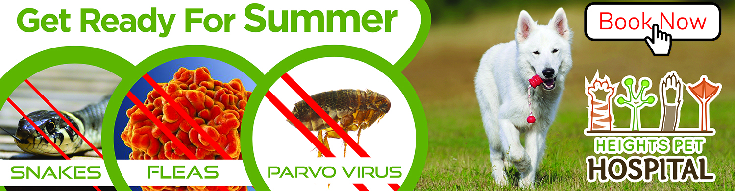 Graphic Design by BEEZU for Heights Pet Hospital | Design #20203062