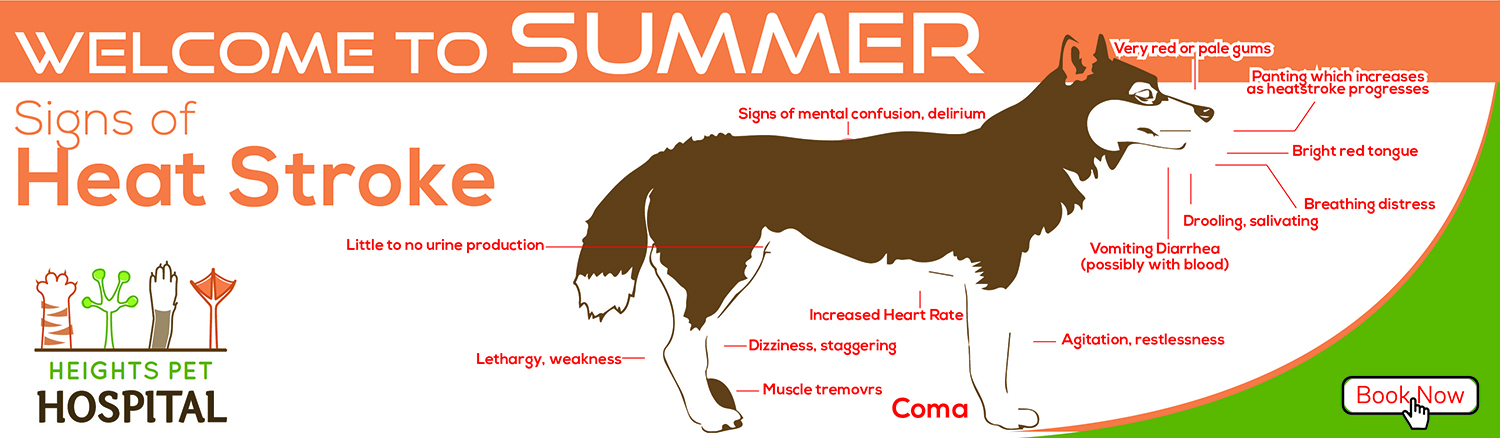 Graphic Design by BEEZU for Heights Pet Hospital | Design #20293983