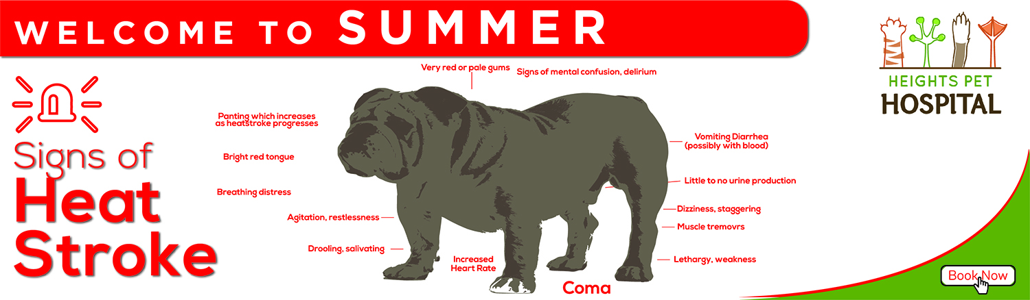 Design Graphique par BEEZU pour Heights Pet Hospital | Design #20344561