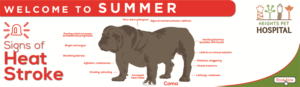 Graphic Design by BEEZU for Heights Pet Hospital | Design: #20344561