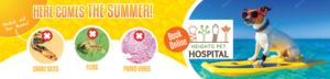 Graphic Design by Abhinash for Heights Pet Hospital | Design: #20223742