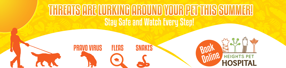 Graphic Design by Abhinash for Heights Pet Hospital | Design #20241985