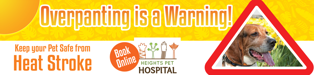 Graphic Design by Abhinash for Heights Pet Hospital | Design #20255536