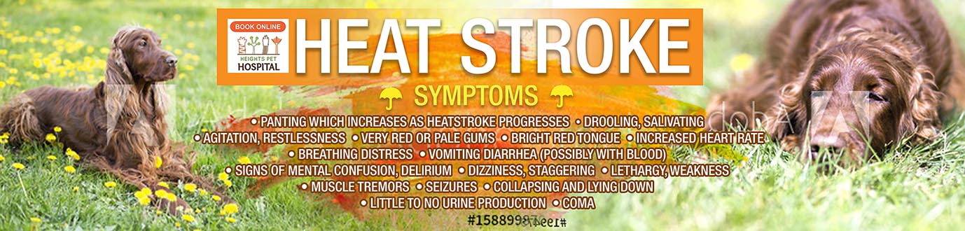 Graphic Design by raynemuray for Heights Pet Hospital | Design #20286624